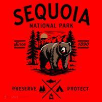Sequoia National Park Grizzly Bear Camping California 1890 Santa Hat thumb 1