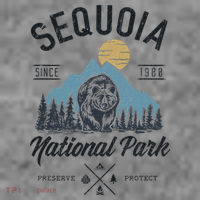 Sequoia National Park Novelty Hiking Camping Toddler Hoodie thumb 2