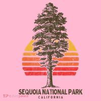 Sequoia National Park Retro Tree Minimalist Graphic Coaster thumb 2