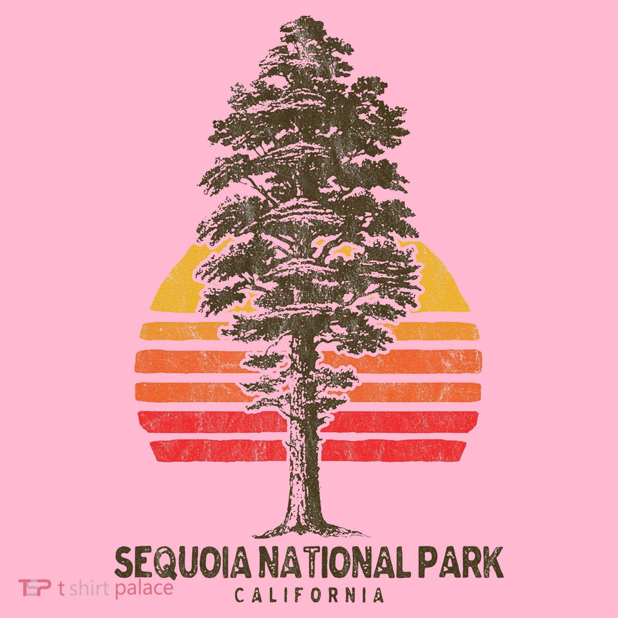 Sequoia National Park Retro Tree Minimalist Graphic Coaster