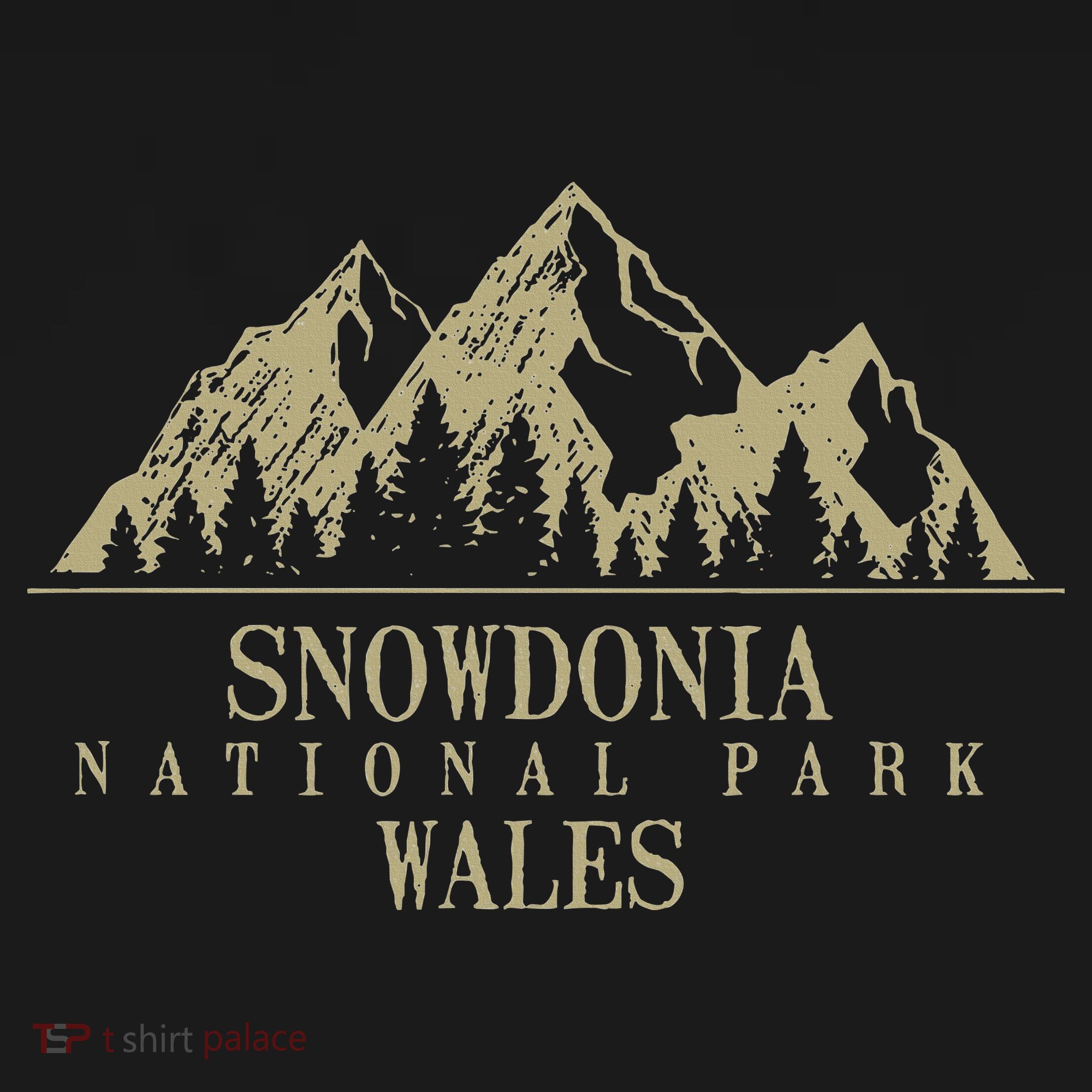 Snowdonia National Park Wales Women's Tank Top