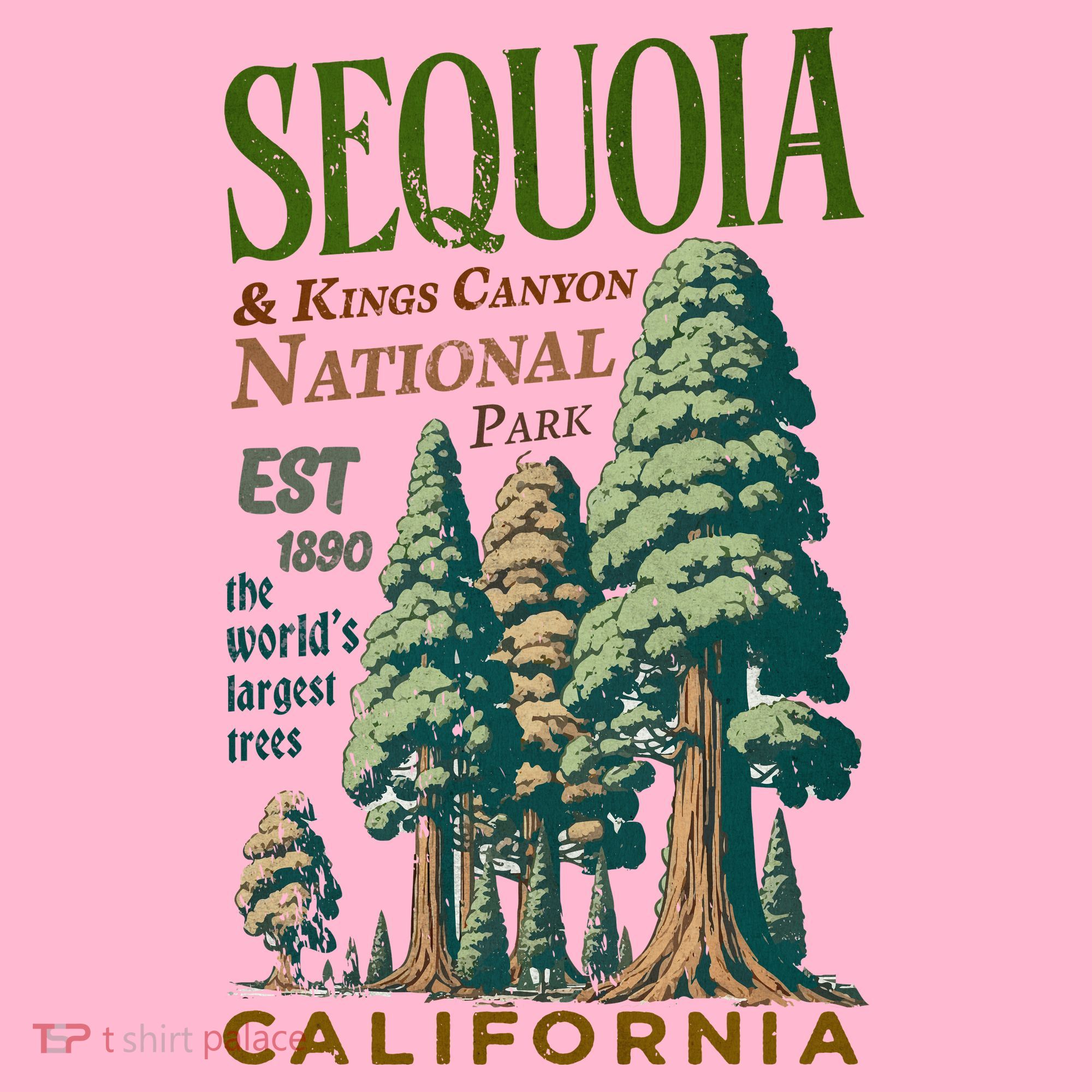 Sequoia National Park Coaster