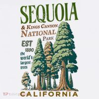 Sequoia National Park Women's Tank Top thumb 5