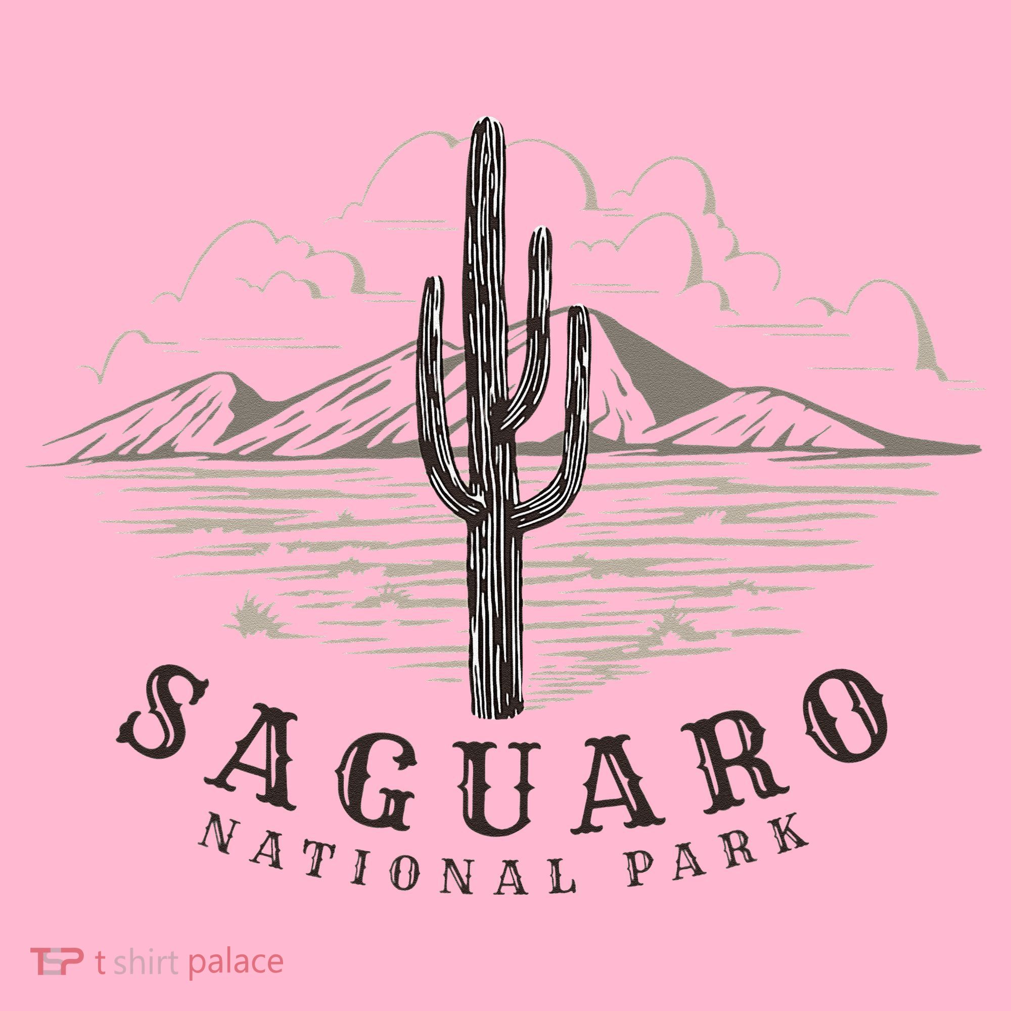 Saguaro National Park Tucson Arizona Cactus Coaster
