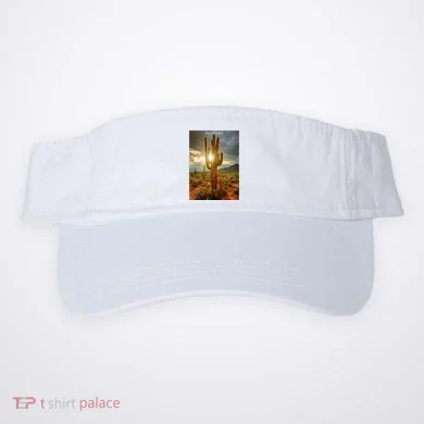Visor