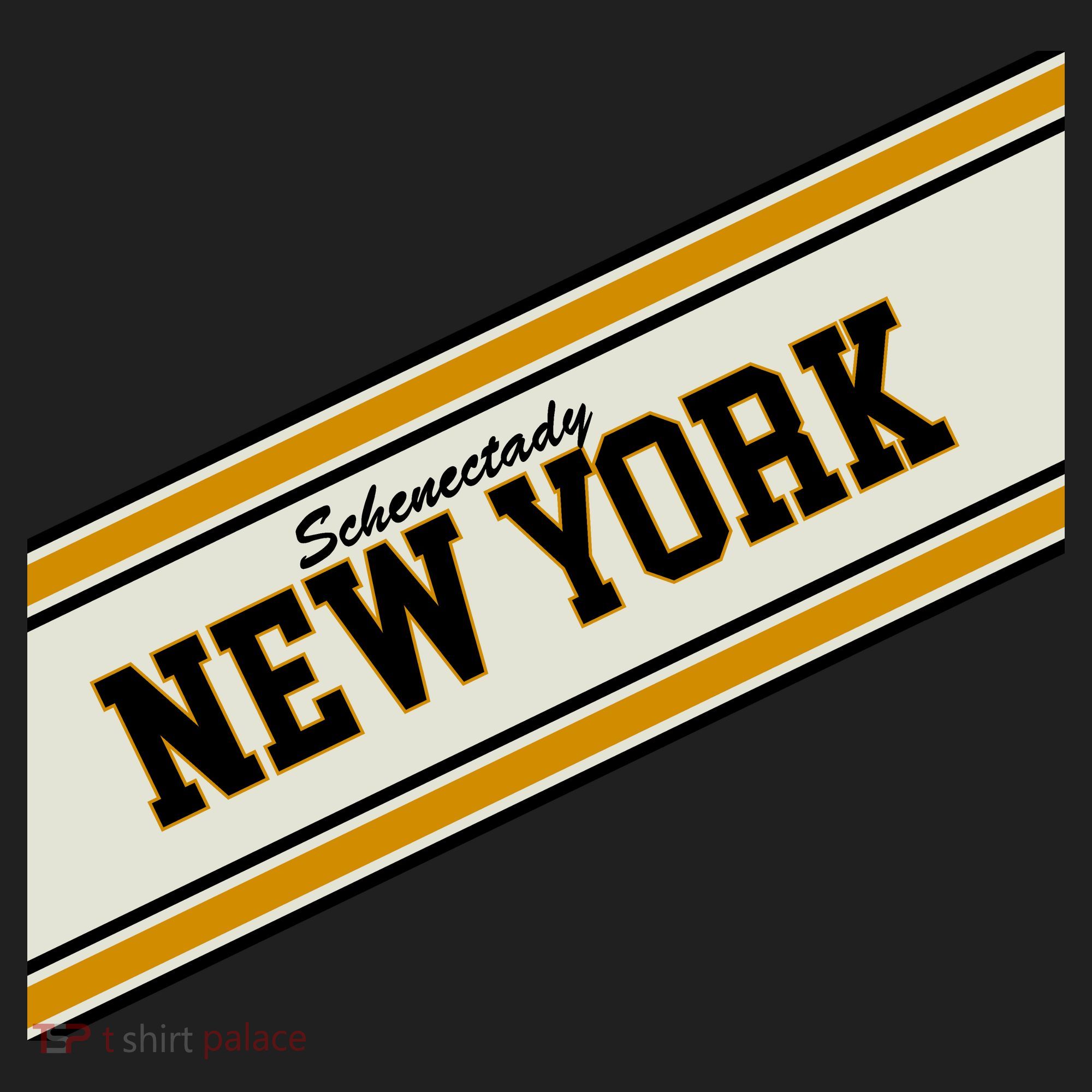 Schenectady New York Varsity Logo Beanie