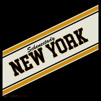 Schenectady New York Varsity Logo Women's Long Sleeve Shirt thumb 2