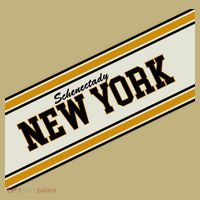 Schenectady New York Varsity Logo T-Shirt thumb 7