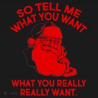So Tell Me What You Really Want Santa Claus Ornament thumb 1