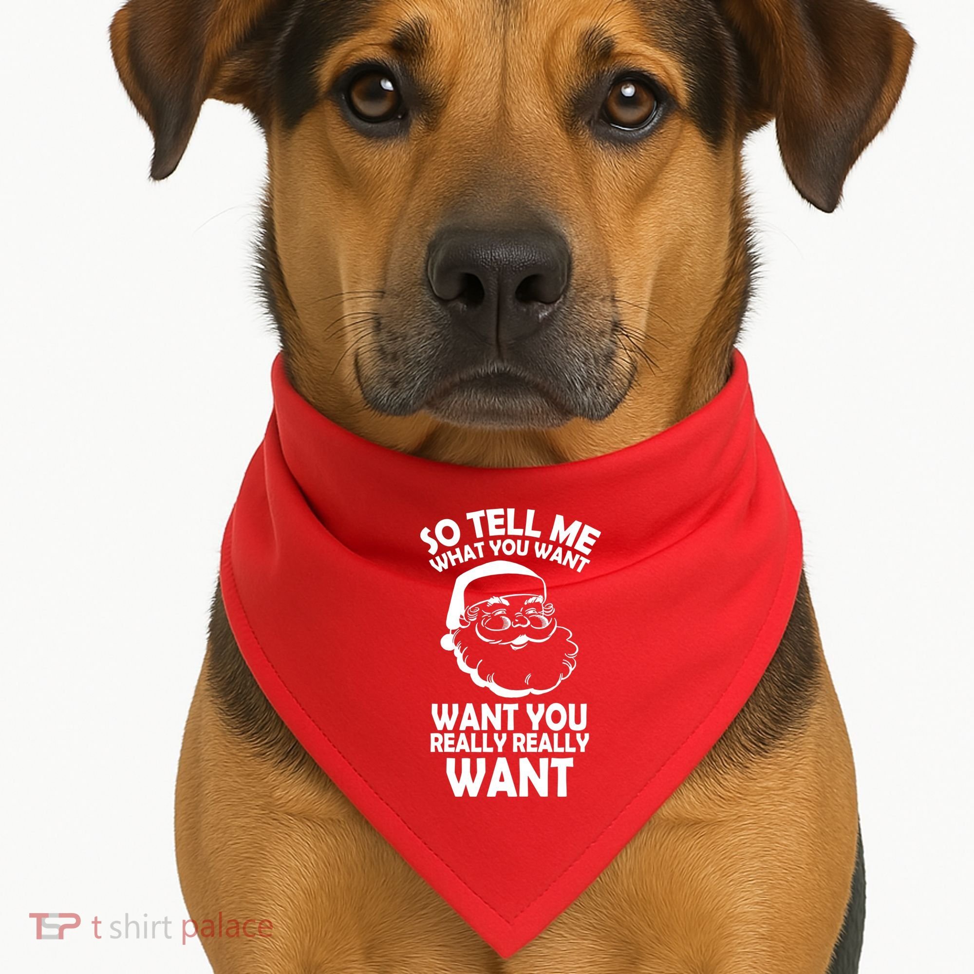 So Tell Me What You Want Funny Santa` USA-Made Doggie Bandana