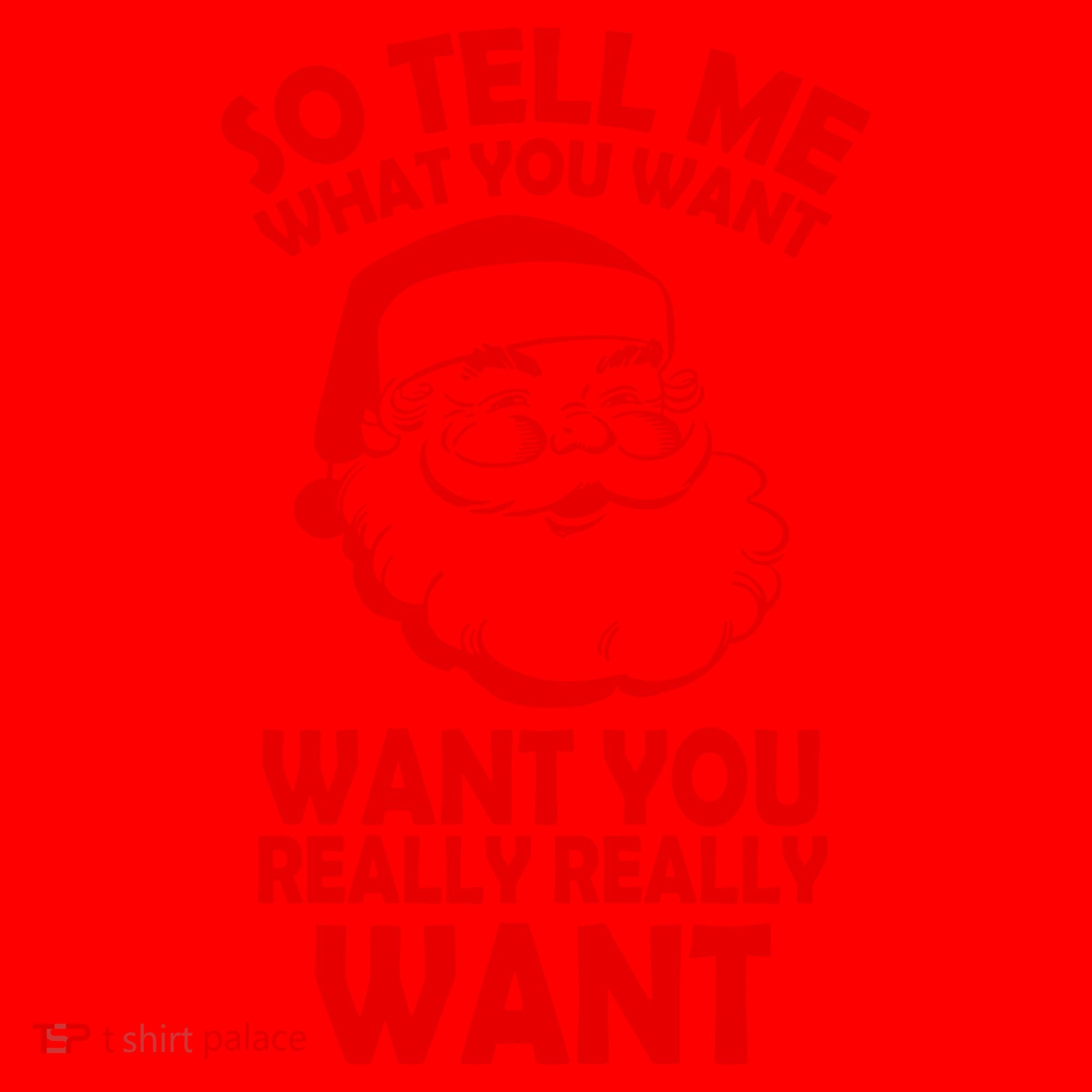So Tell Me What You Want Funny Santa` Santa Hat