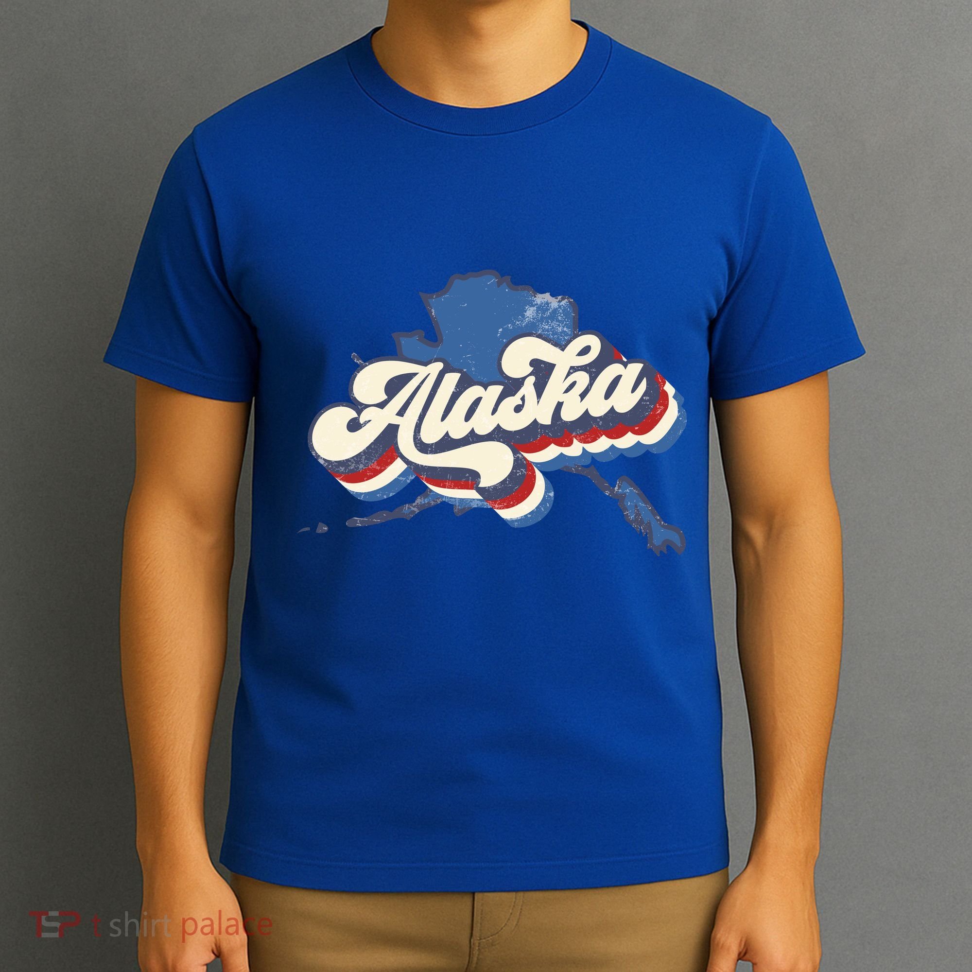 State Of Alaska Retro Logo T-Shirt