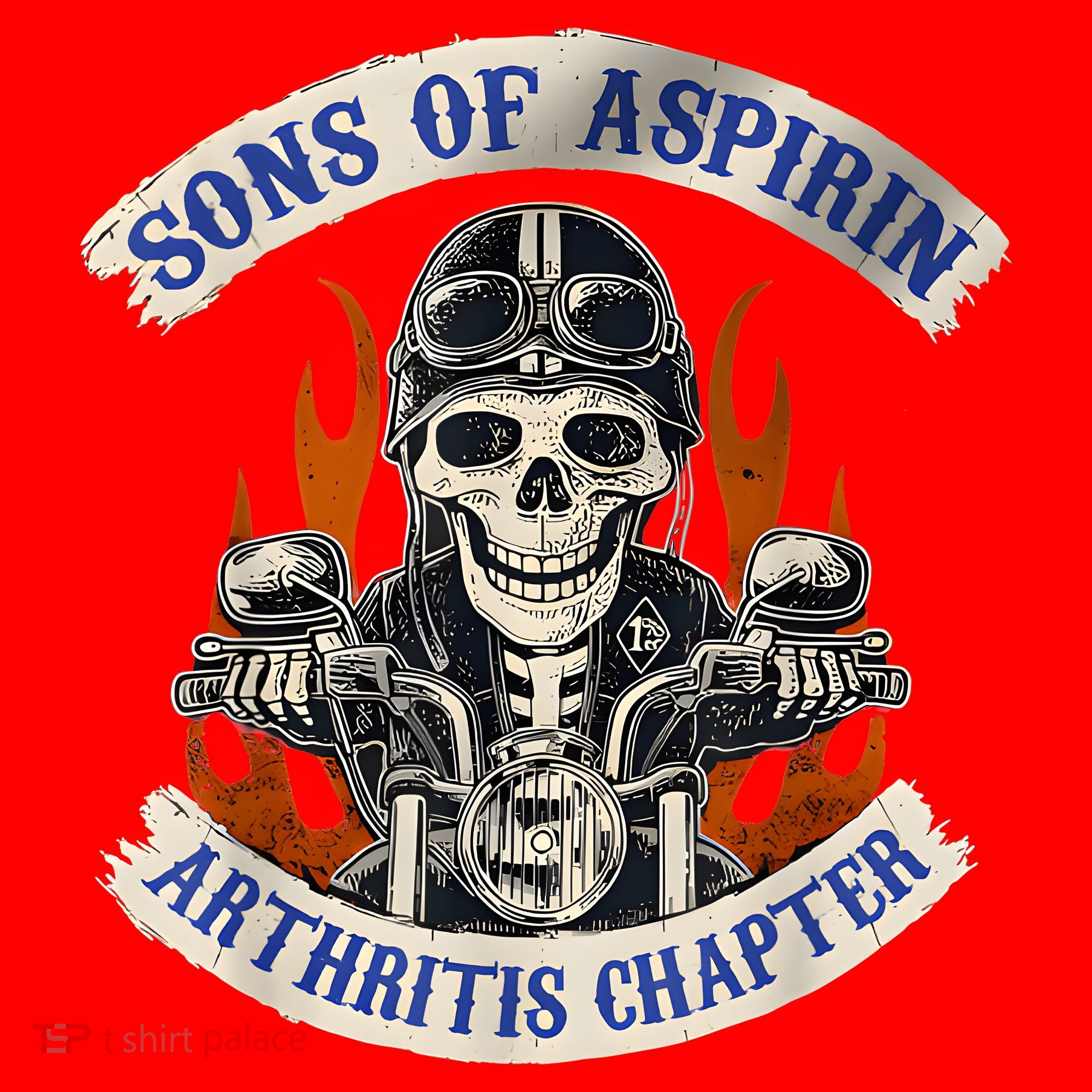 Sons Of Aspirin Arthritis Chapter Funny Biker Santa Hat
