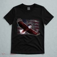 Soaring Metal Eagle American Flag T-Shirt thumb 5