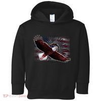 Soaring Metal Eagle American Flag Toddler Hoodie thumb 0