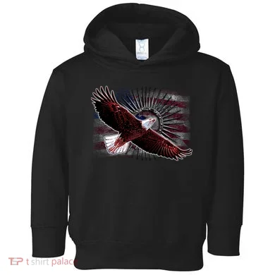 Soaring Metal Eagle American Flag Toddler Hoodie