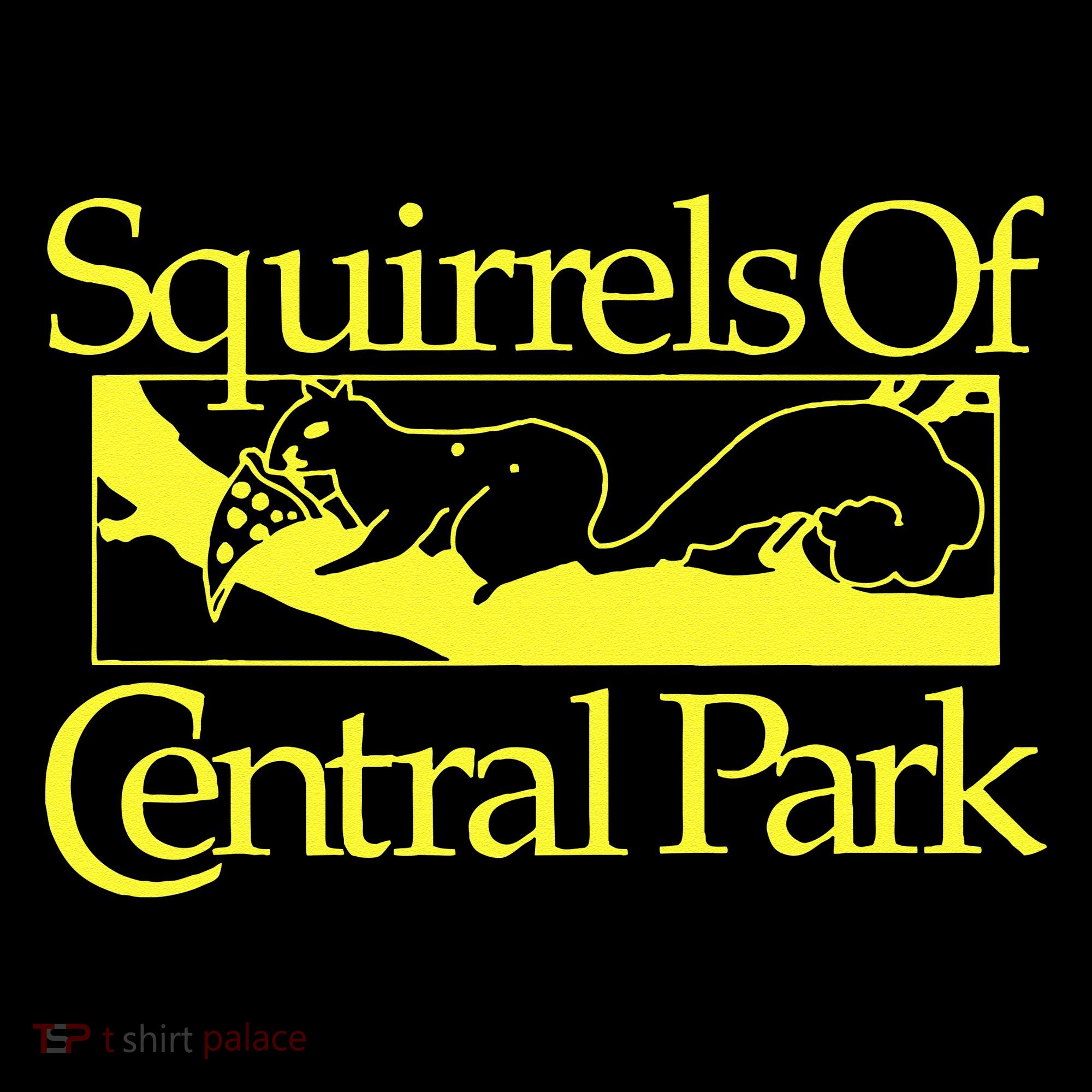 Squirrels Of Central Park Women's Hoodie