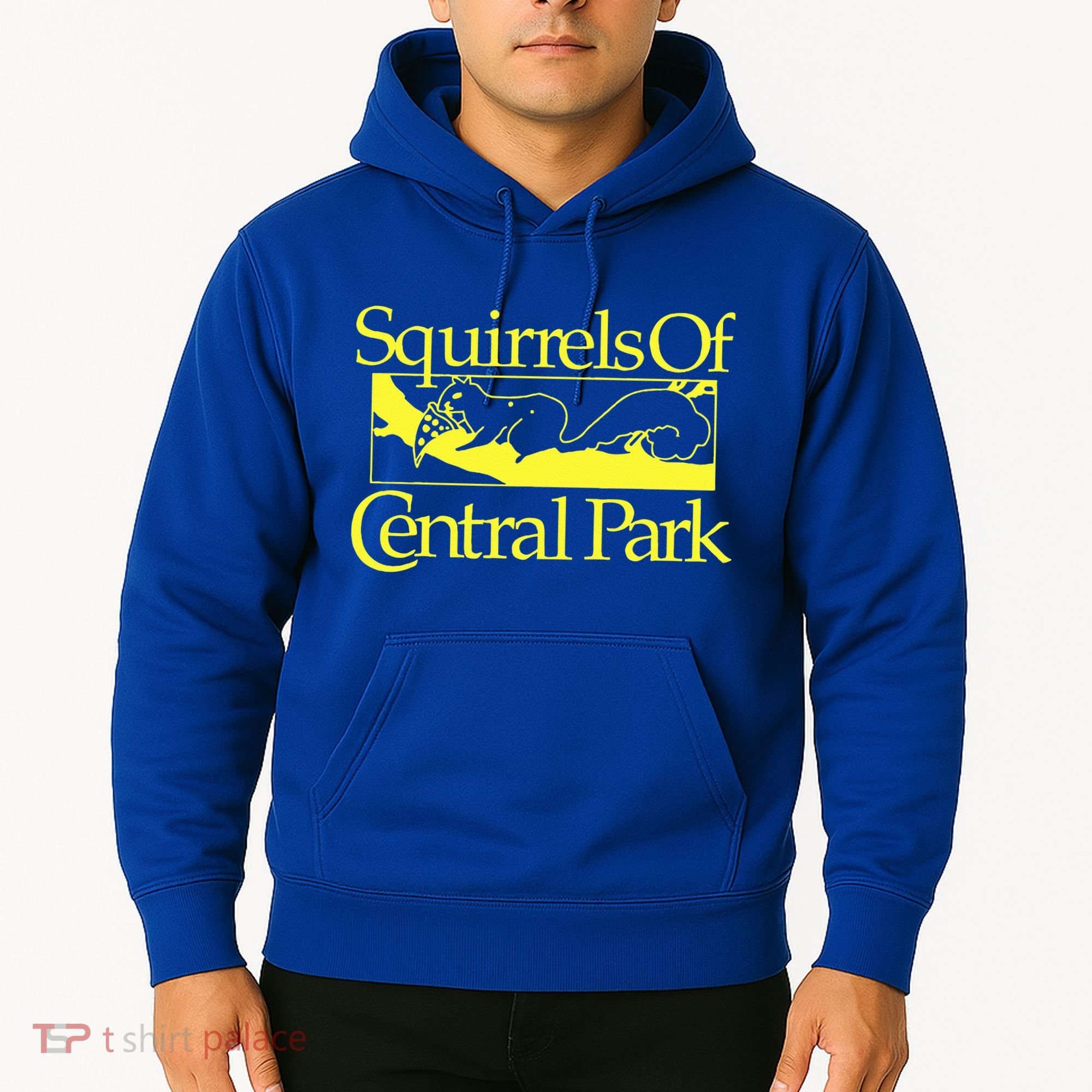 Squirrels Of Central Park Hoodie