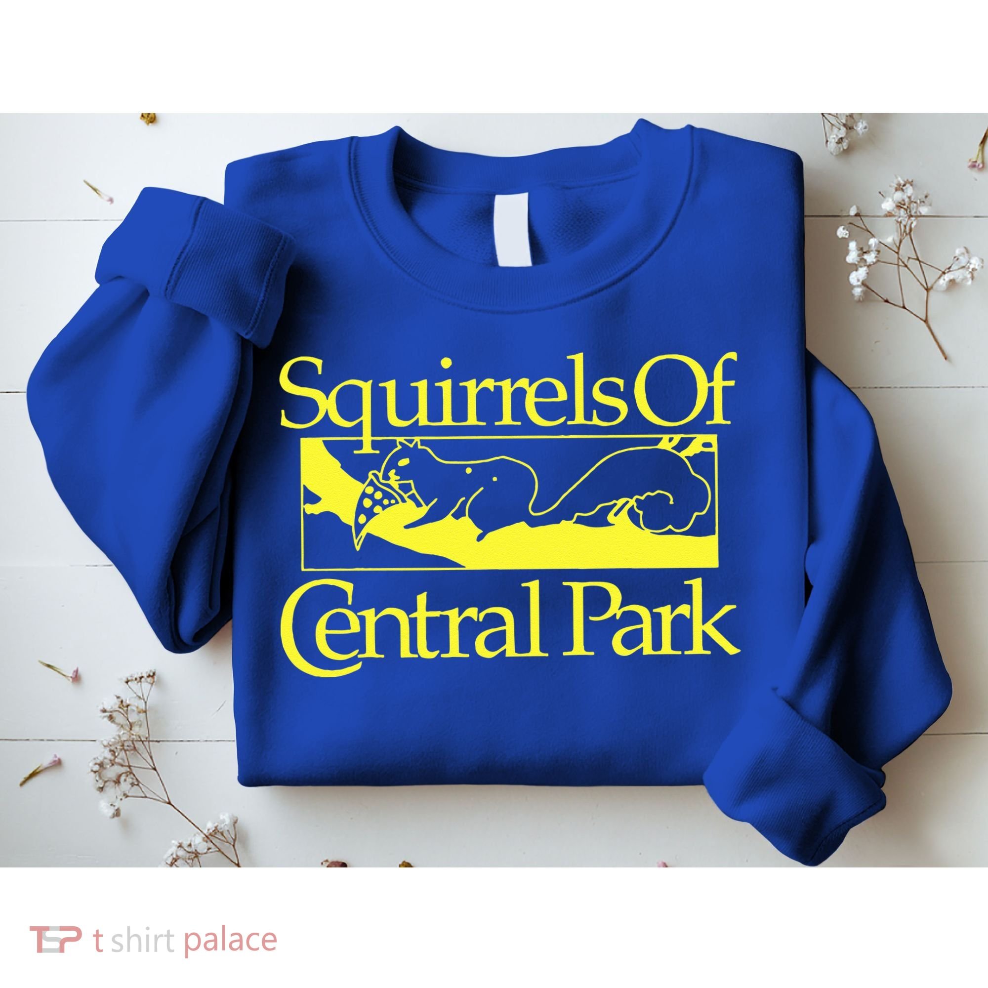 Squirrels Of Central Park Sweatshirt