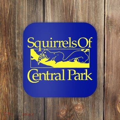 Squirrels Of Central Park Coaster
