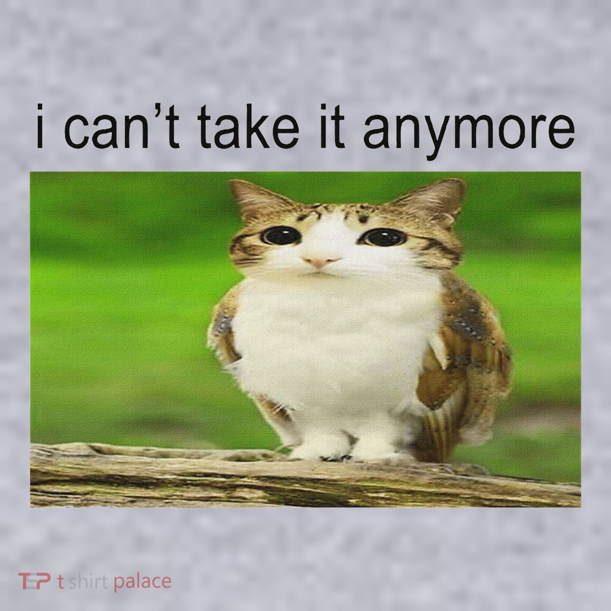 Silly Owl Cat Meme I CanT Take It Anymore Women's Sweatshirt