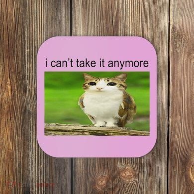 Silly Owl Cat Meme I CanT Take It Anymore Coaster