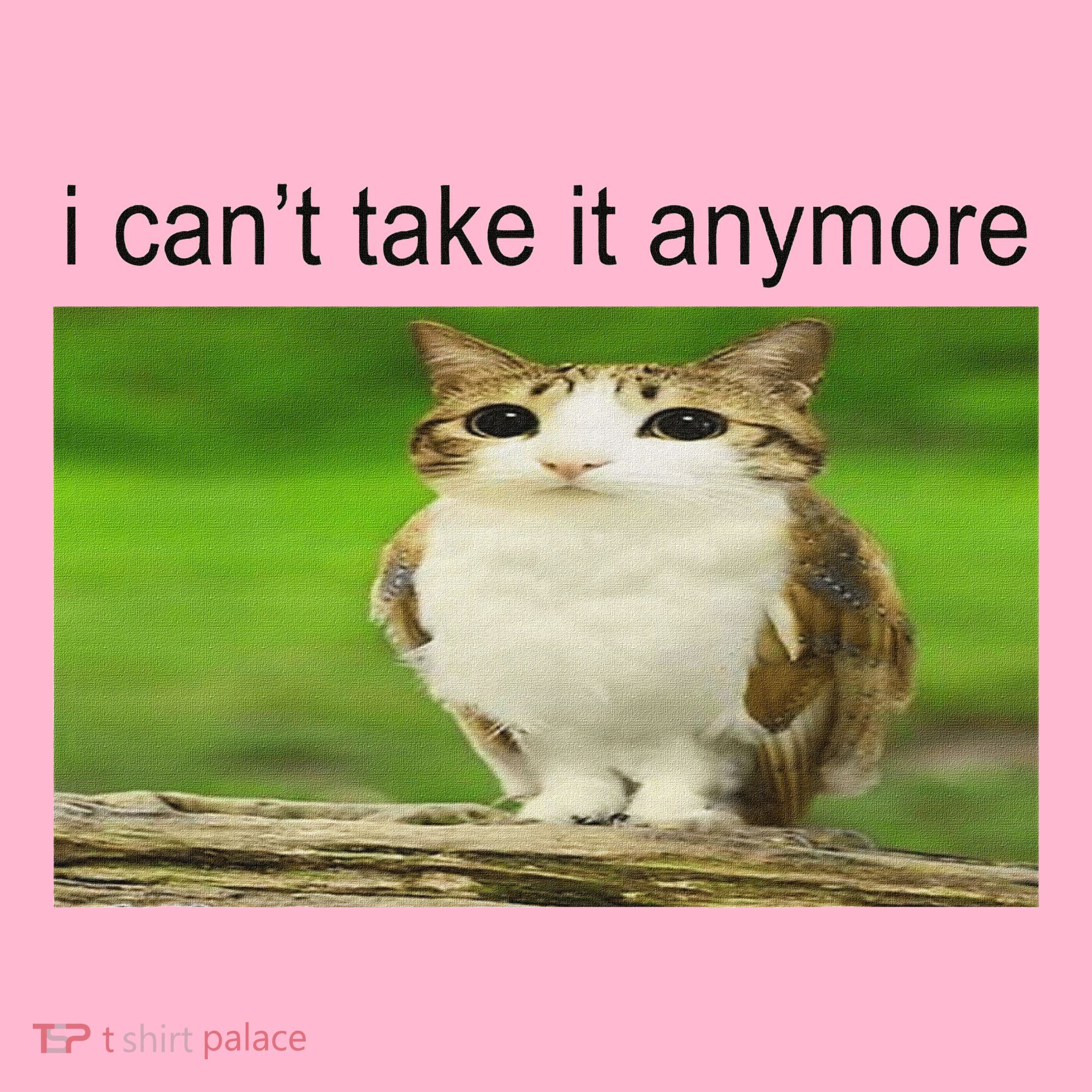Silly Owl Cat Meme I CanT Take It Anymore Coaster