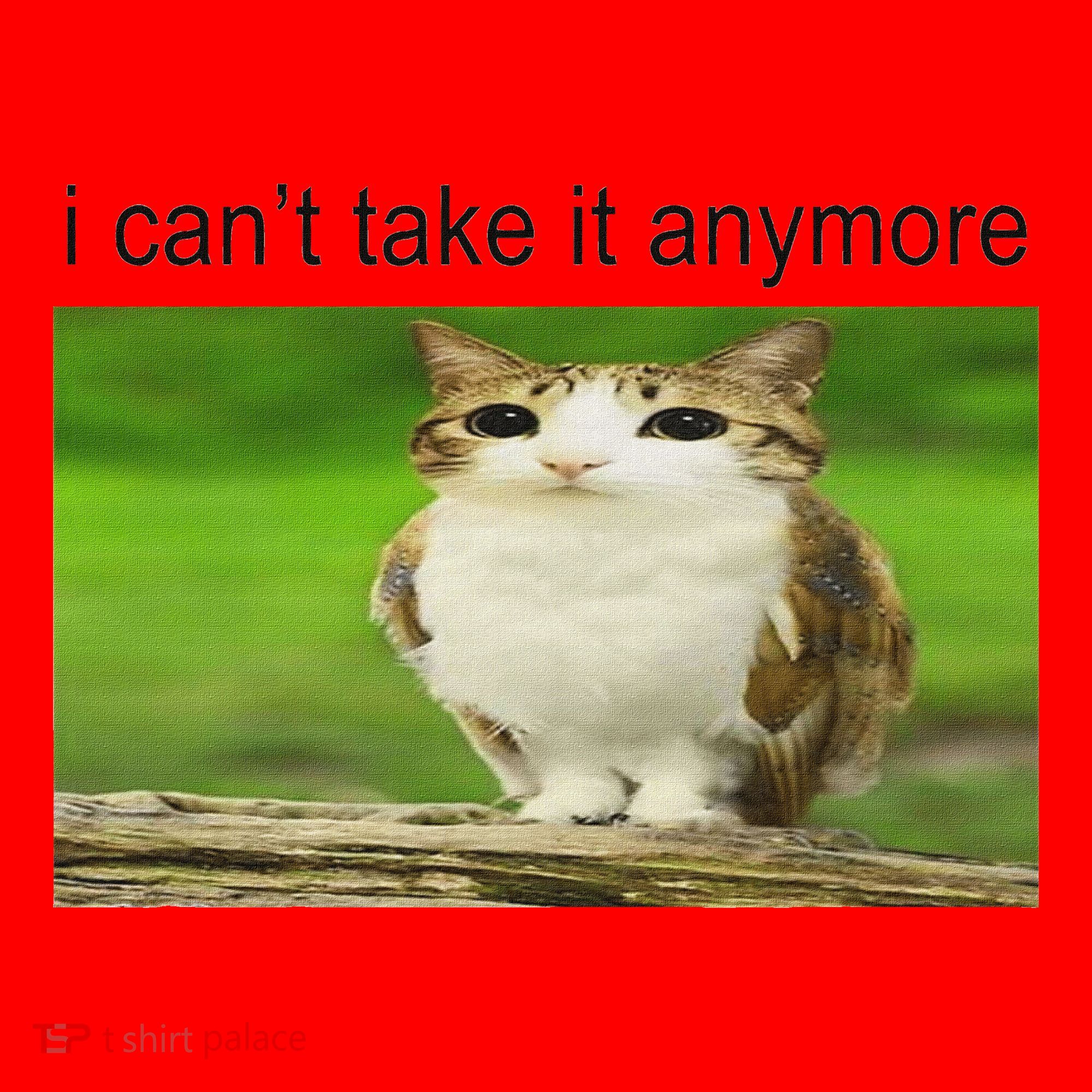 Silly Owl Cat Meme I CanT Take It Anymore Santa Hat