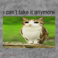 Silly Owl Cat Meme I CanT Take It Anymore Toddler Hoodie thumb 2