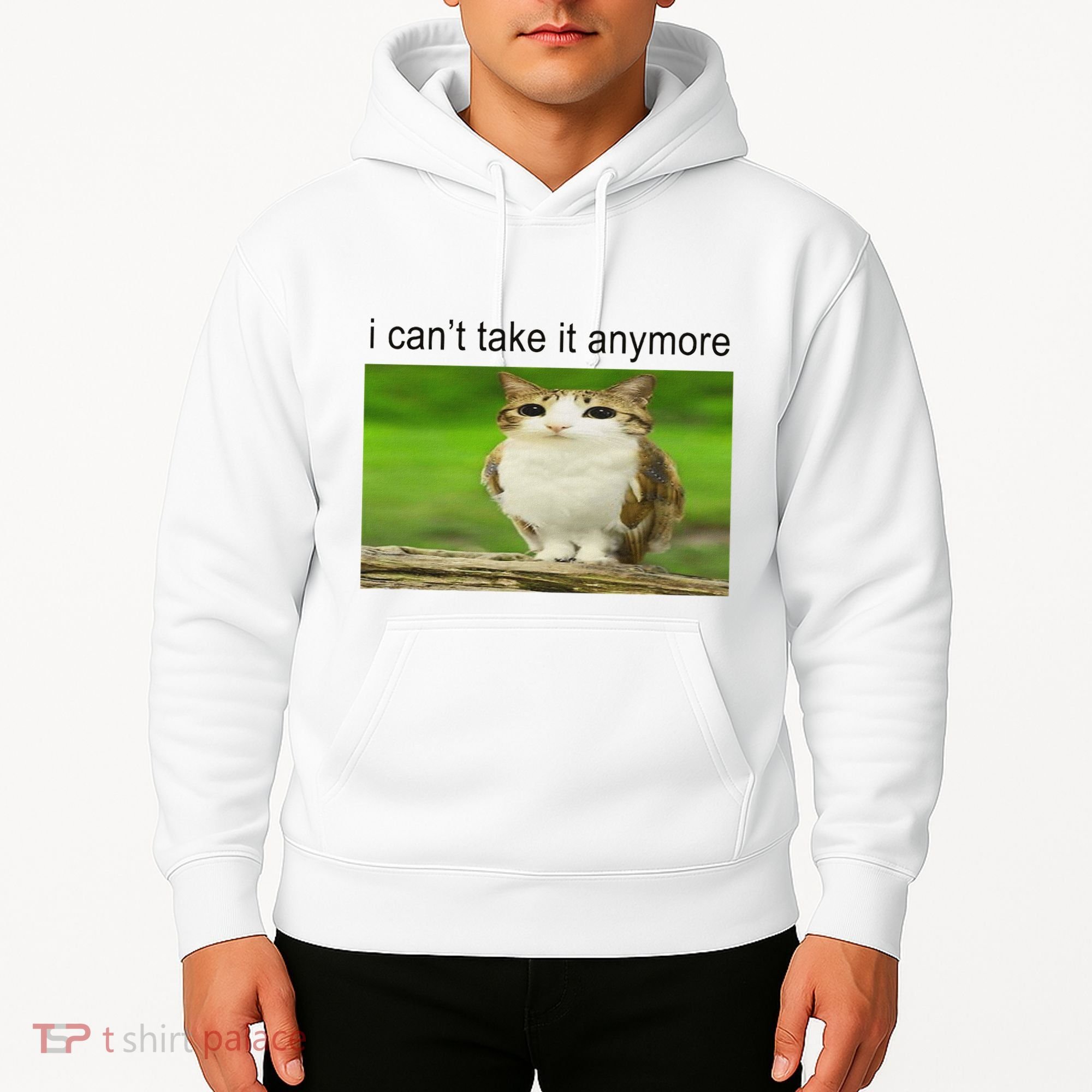 Silly Owl Cat Meme I CanT Take It Anymore Hoodie