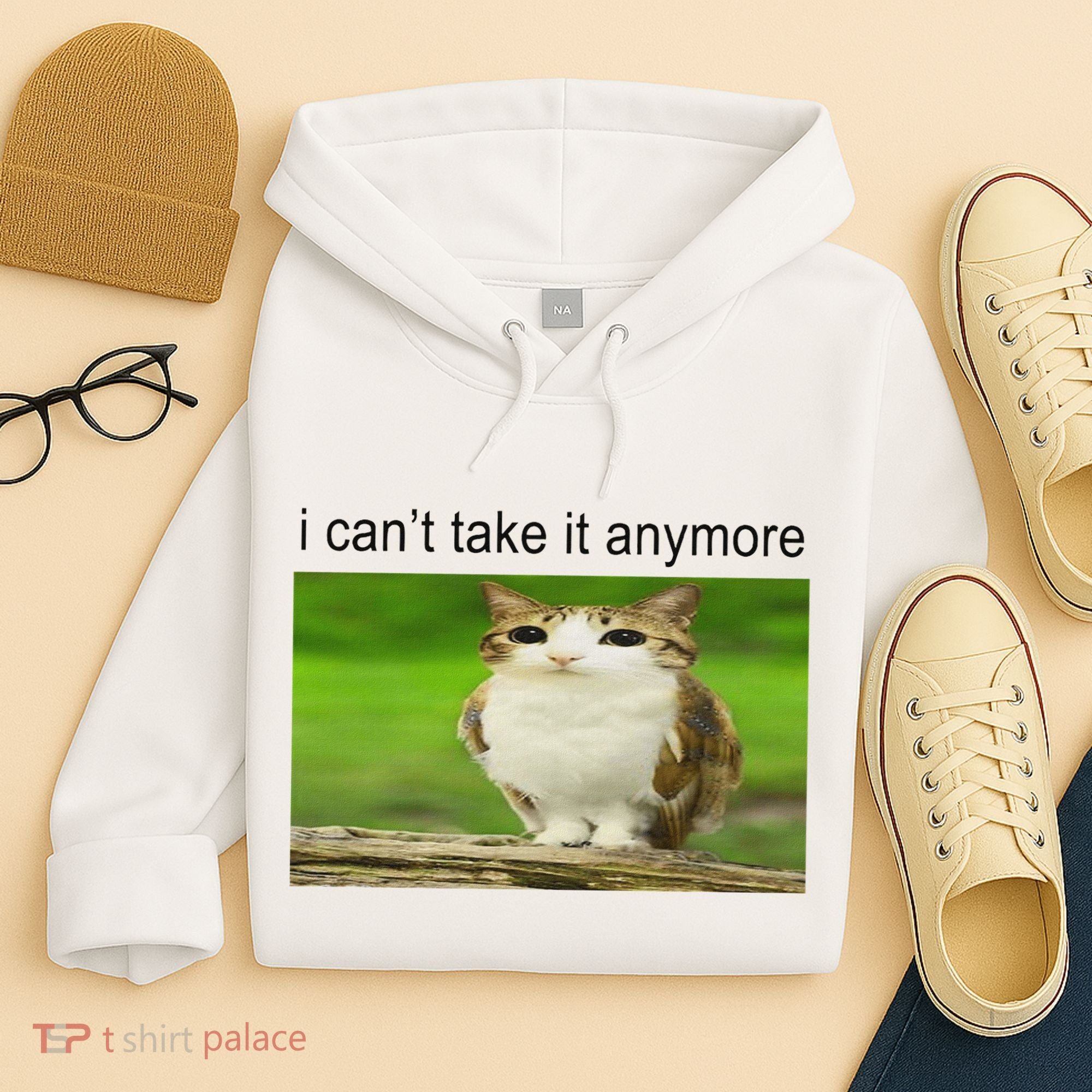 Silly Owl Cat Meme I CanT Take It Anymore Hoodie