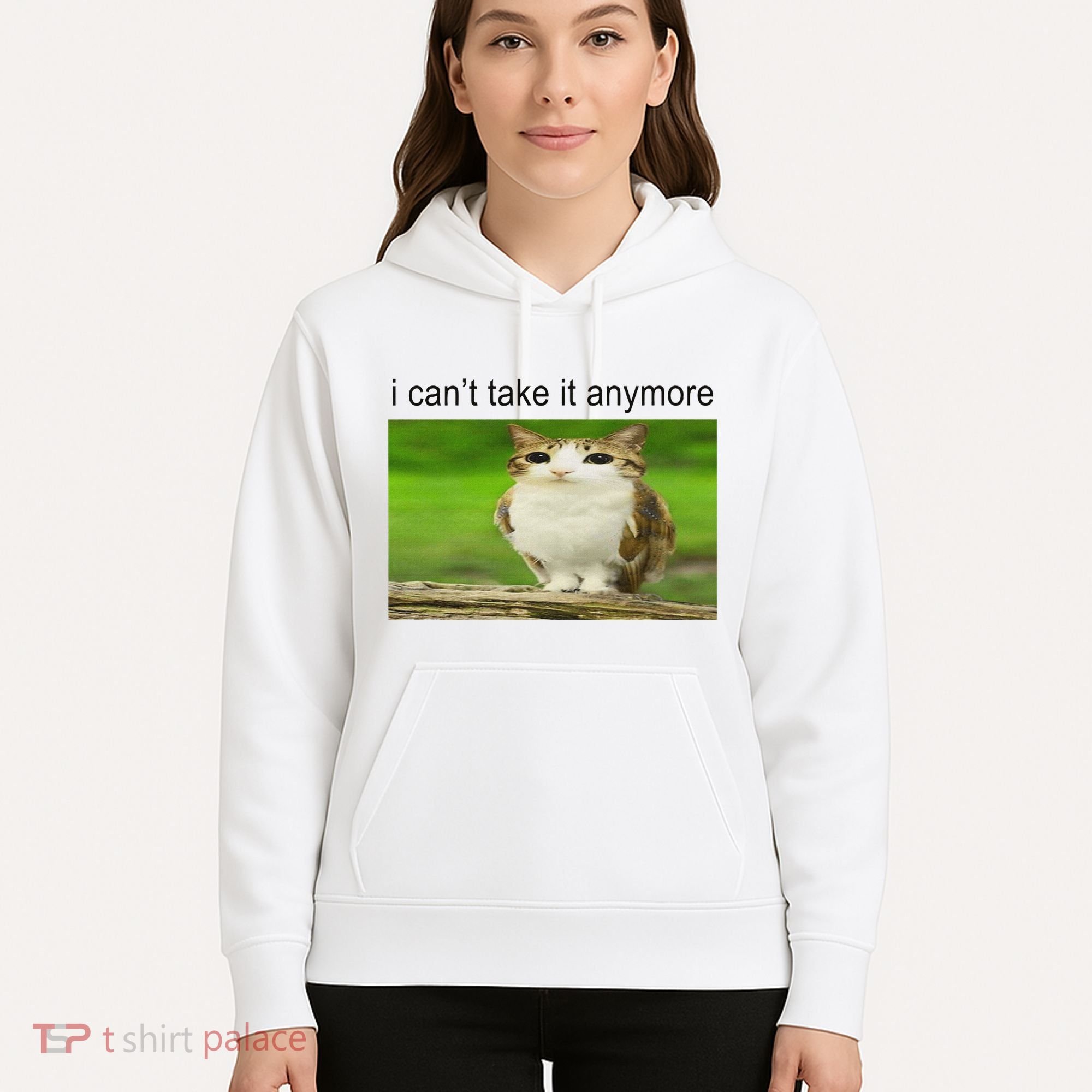 Silly Owl Cat Meme I CanT Take It Anymore Hoodie