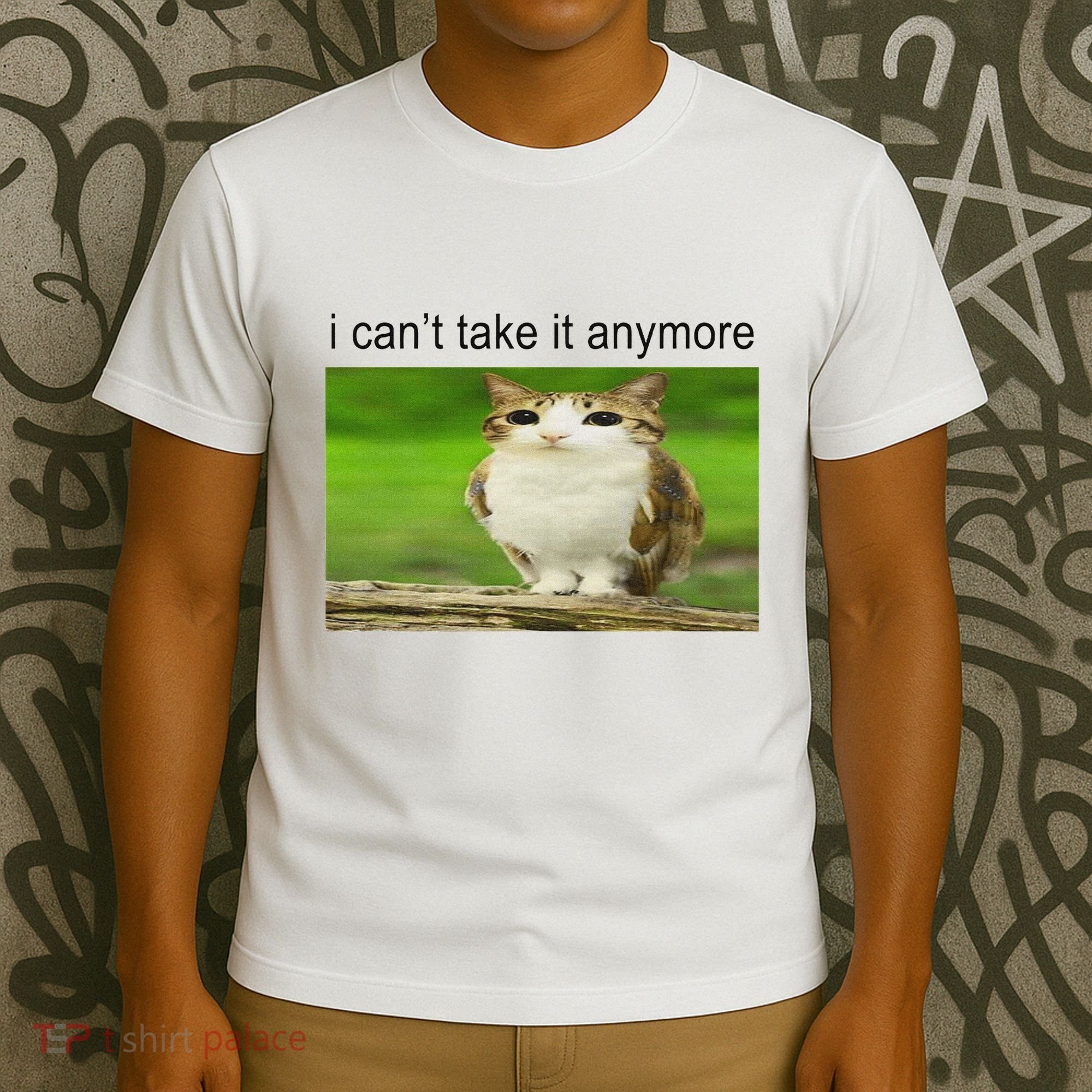 Silly Owl Cat Meme I CanT Take It Anymore T-Shirt