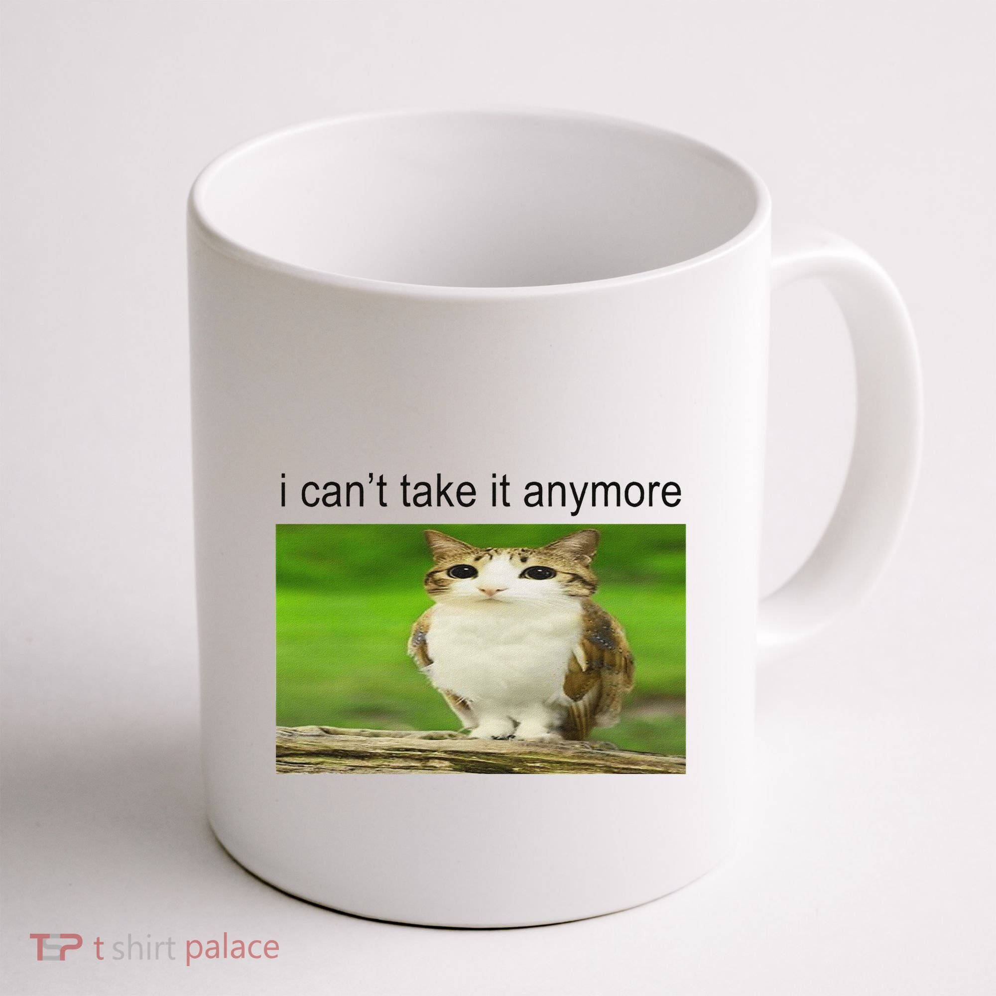 Silly Owl Cat Meme I CanT Take It Anymore Coffee Mug