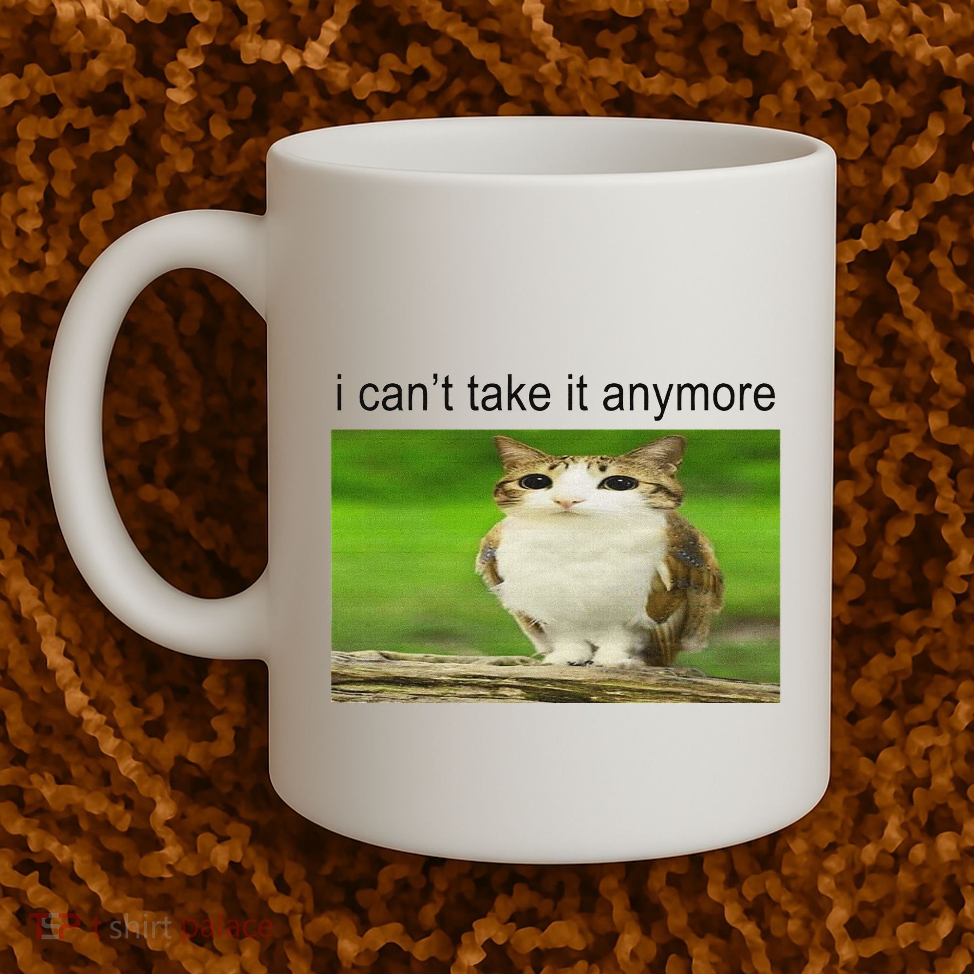 Silly Owl Cat Meme I CanT Take It Anymore Coffee Mug