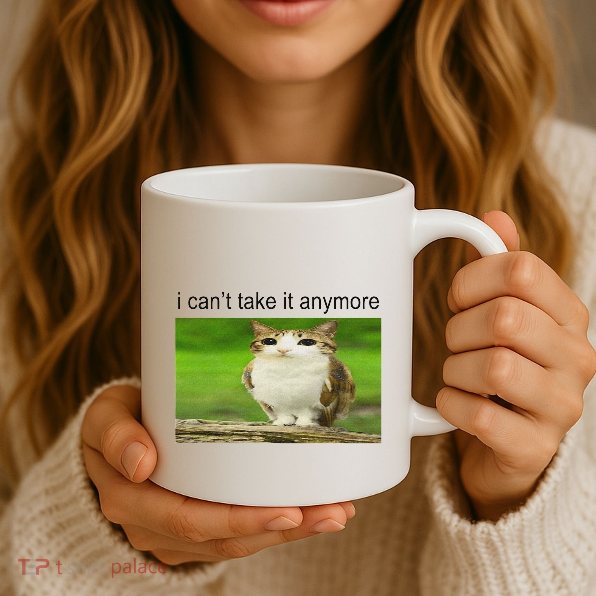 Silly Owl Cat Meme I CanT Take It Anymore Coffee Mug