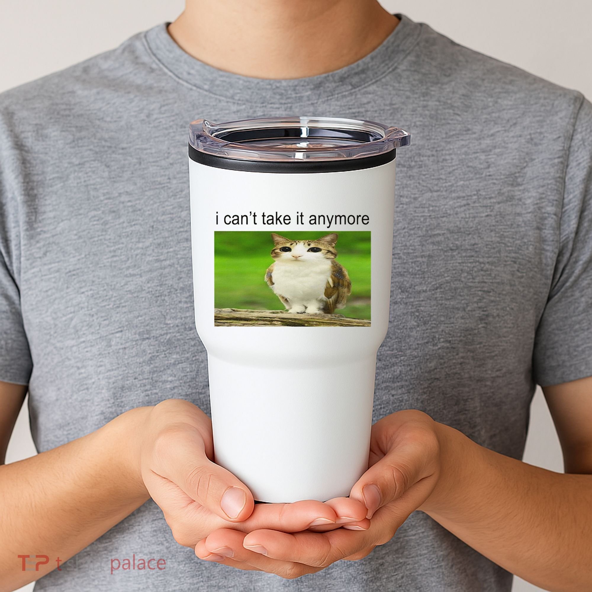 Silly Owl Cat Meme I CanT Take It Anymore Tumbler