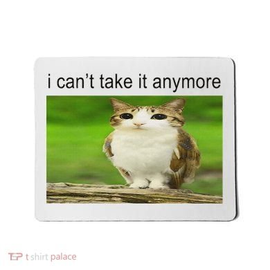 Silly Owl Cat Meme I CanT Take It Anymore Mousepad