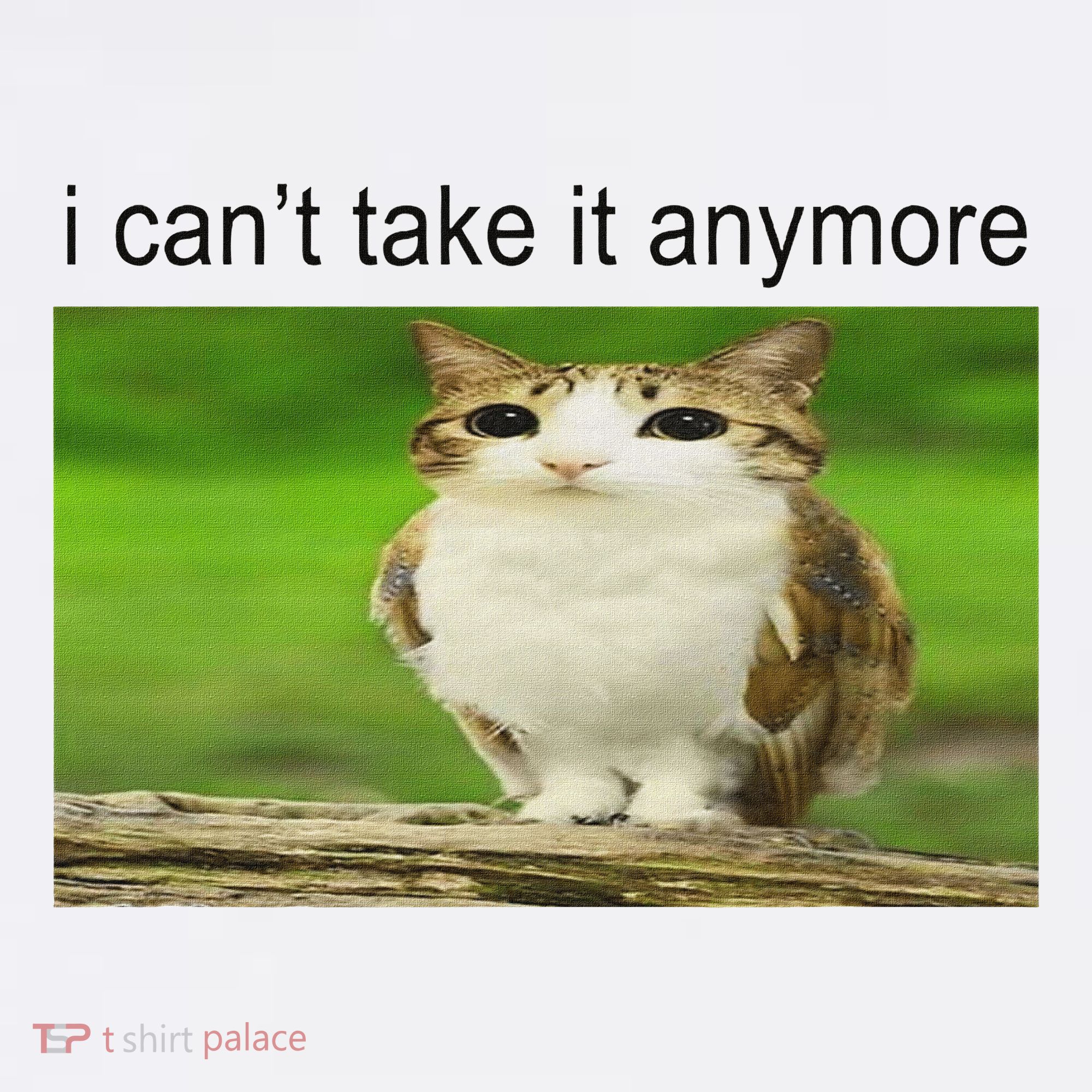 Silly Owl Cat Meme I CanT Take It Anymore Mousepad