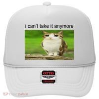 Silly Owl Cat Meme I CanT Take It Anymore Hat thumb 0