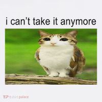 Silly Owl Cat Meme I CanT Take It Anymore Golf Towel thumb 3