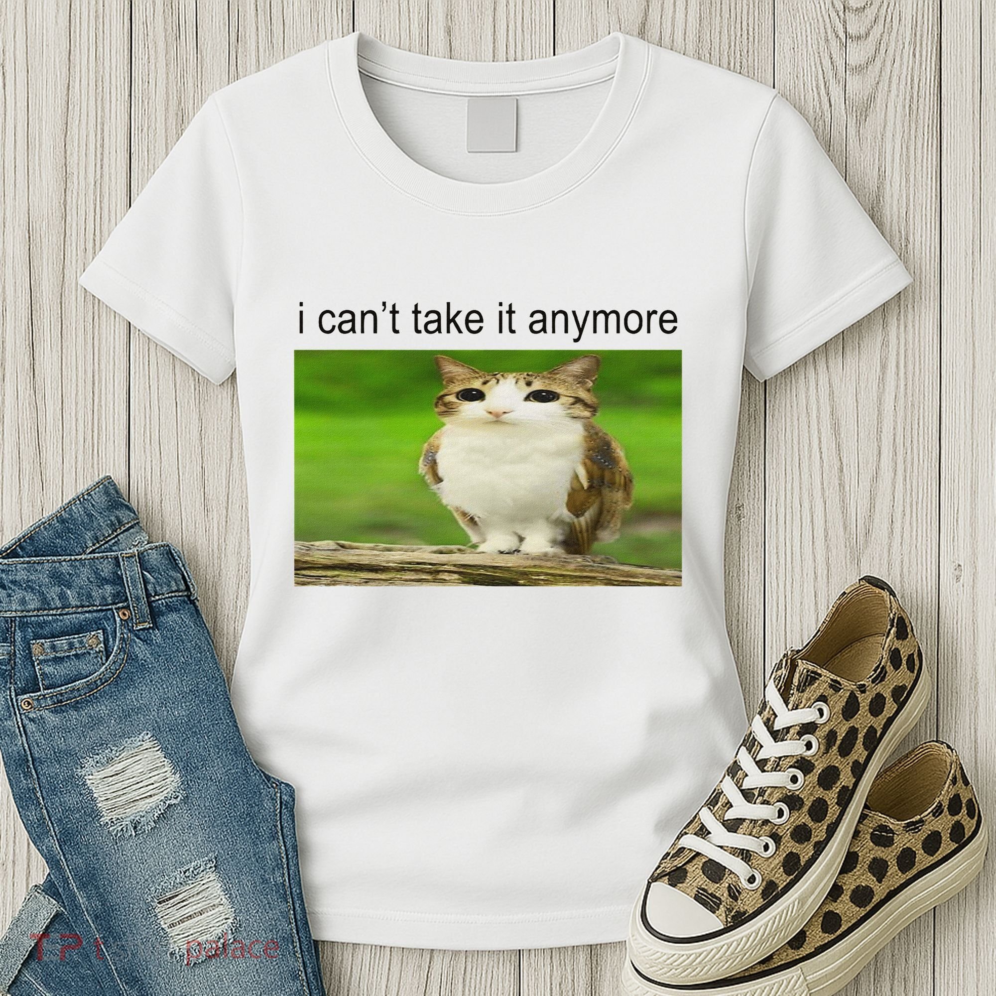 Silly Owl Cat Meme I CanT Take It Anymore Women's T-Shirt