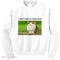 Silly Owl Cat Meme I CanT Take It Anymore Kids Sweatshirt thumb 0