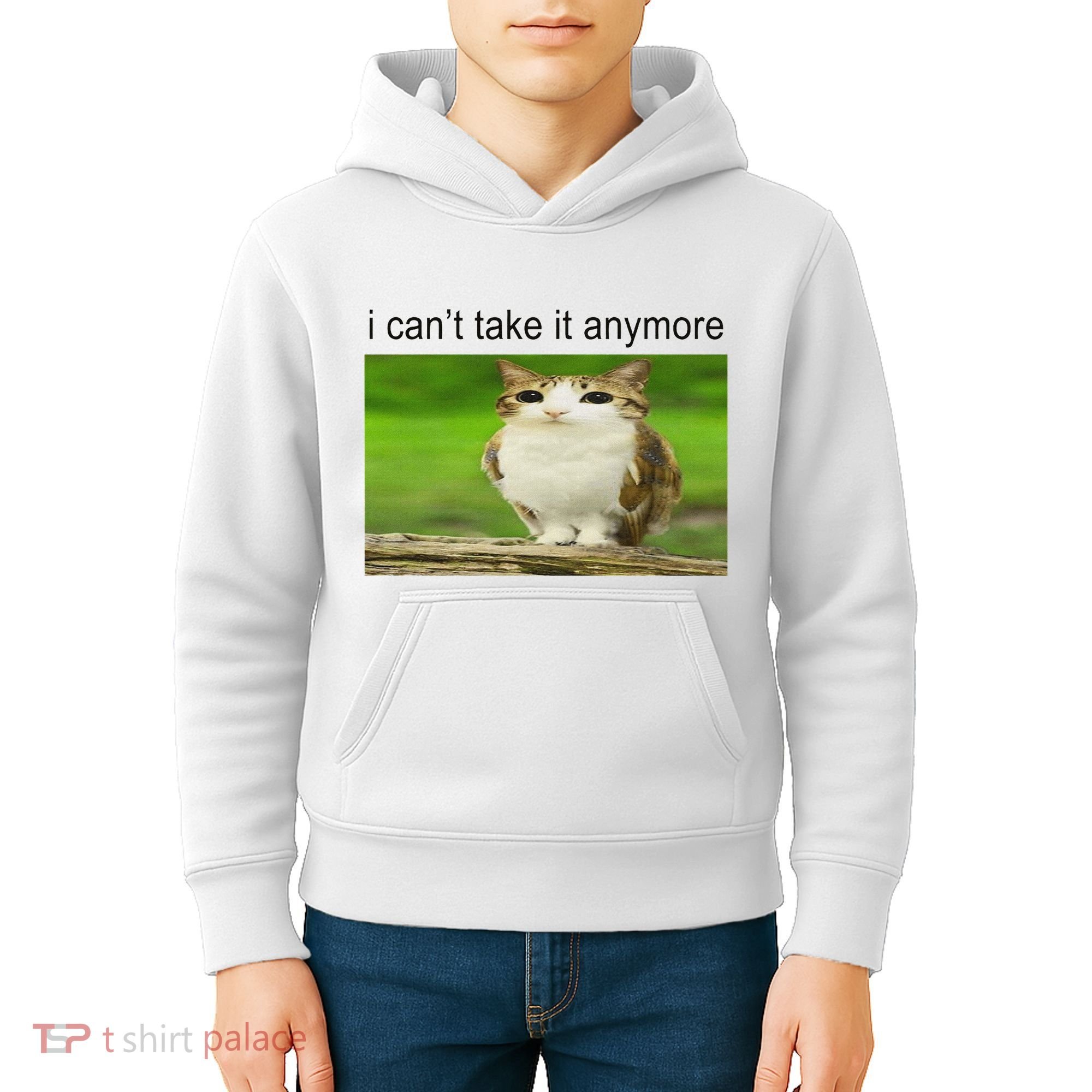 Silly Owl Cat Meme I CanT Take It Anymore Kids Hoodie