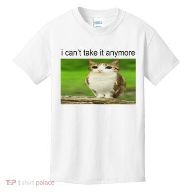 Silly Owl Cat Meme I CanT Take It Anymore Kids T-Shirt