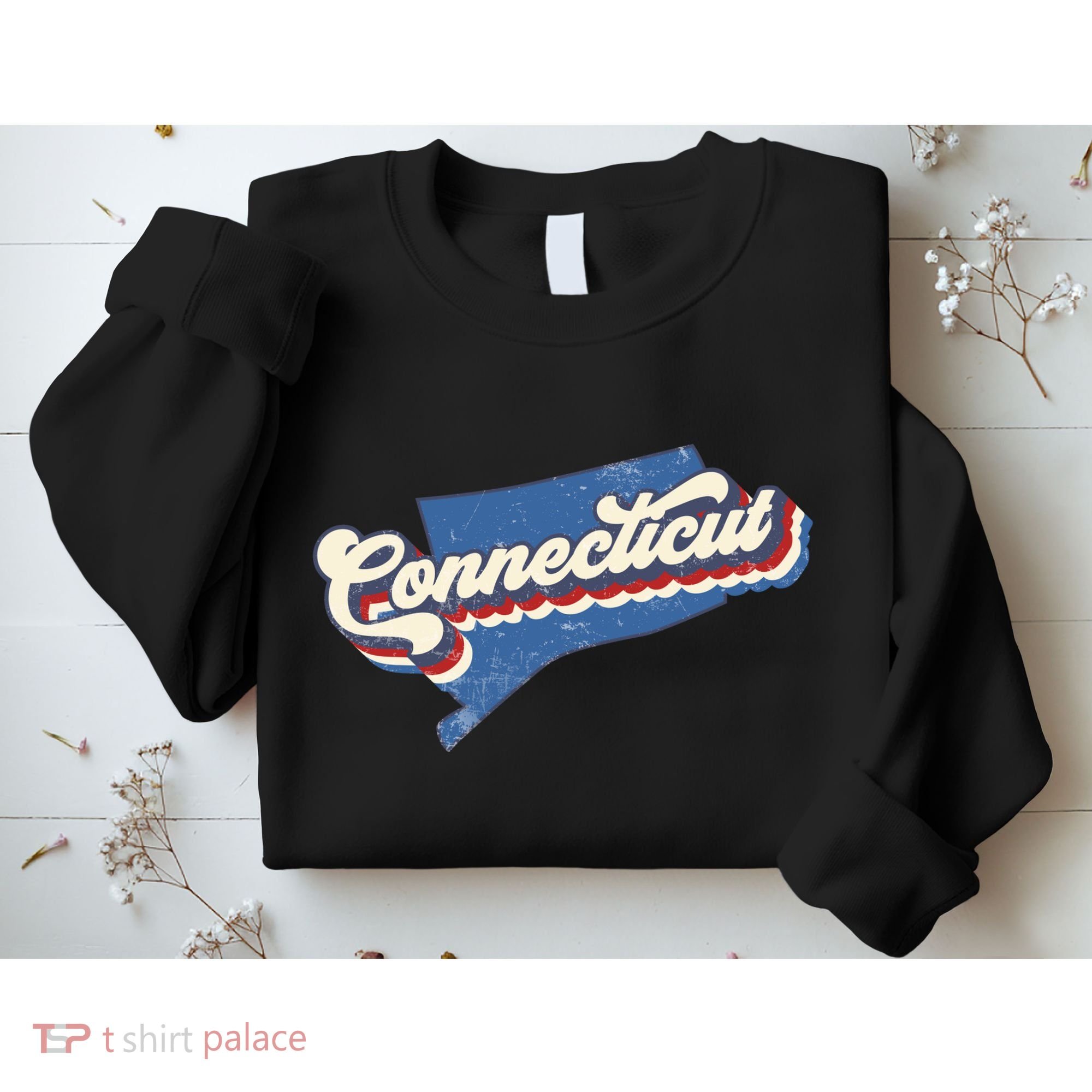 State Of Connecticut Retro Logo Sweatshirt