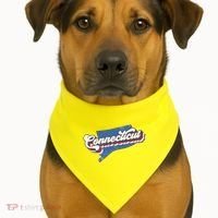 State Of Connecticut Retro Logo USA-Made Doggie Bandana thumb 1
