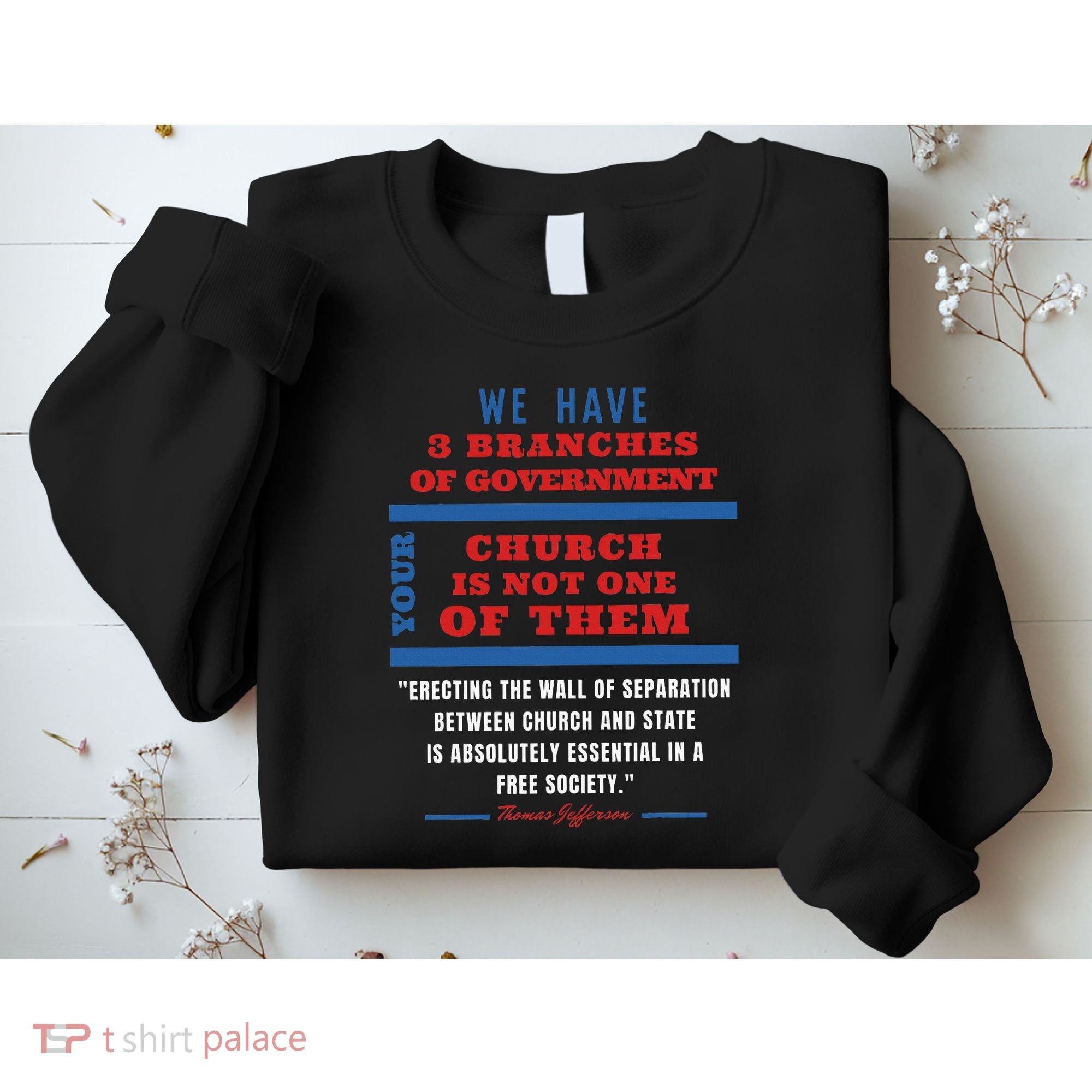 Separation Of Church And State Defend Our Democracy Sweatshirt