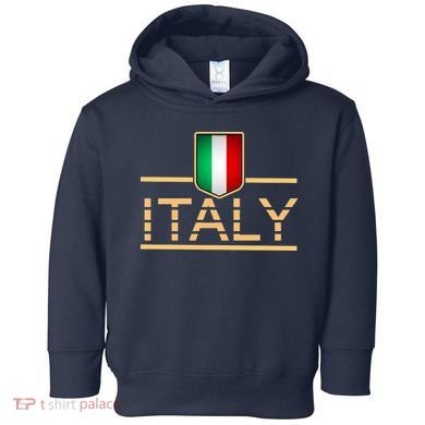Soccer Italian Flag Italy Fan Logo Toddler Hoodie