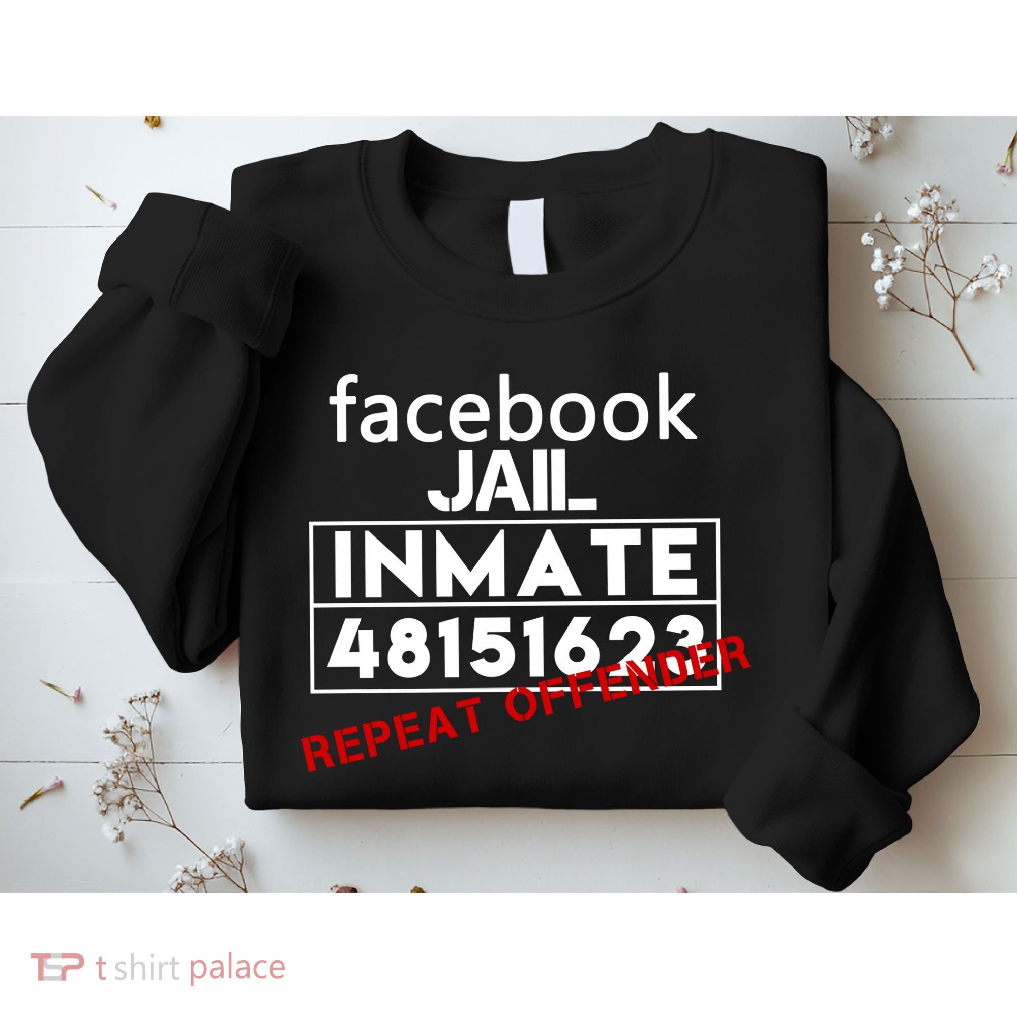 Social Media Jail Inmate Repeat Offender Sweatshirt